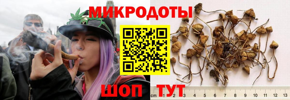 Псилоцибиновые грибы Cubensis  Псилоцибиновые грибы Magic Shrooms  Лабинск  Вход с VPN 