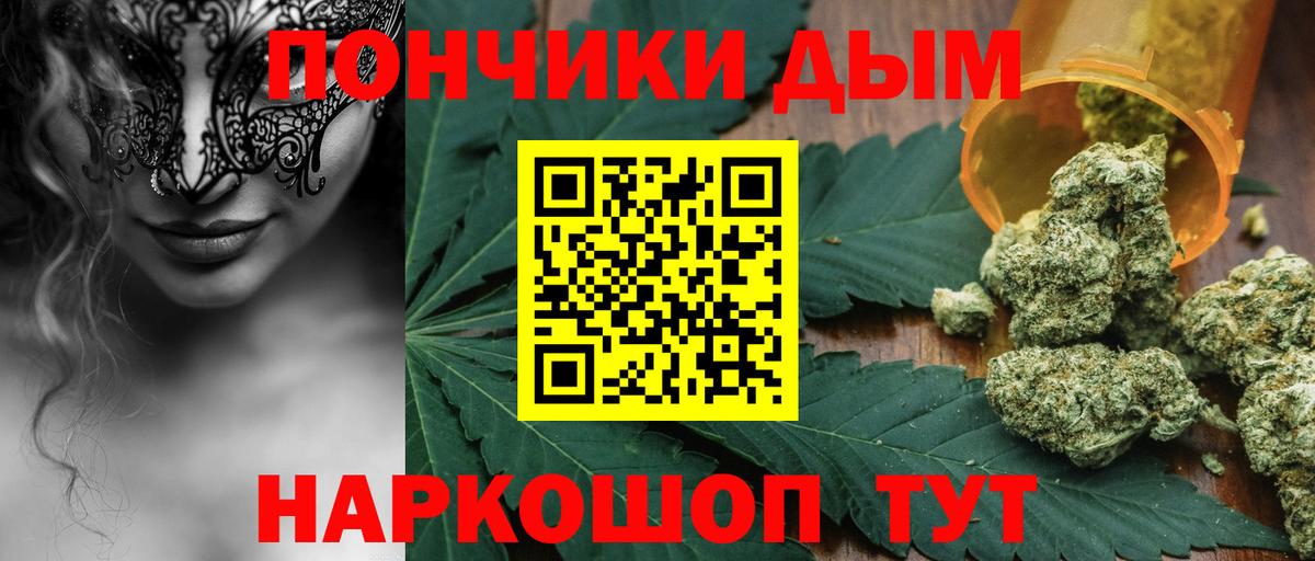 Бошки Шишки план Лабинск